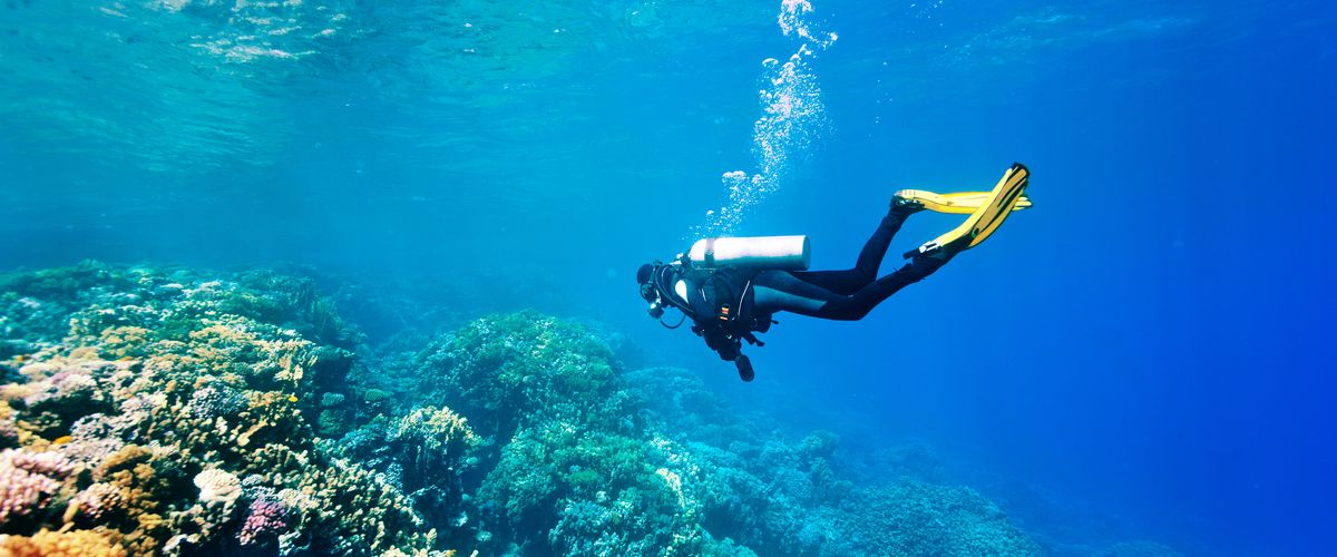 scuba diving in Qatar